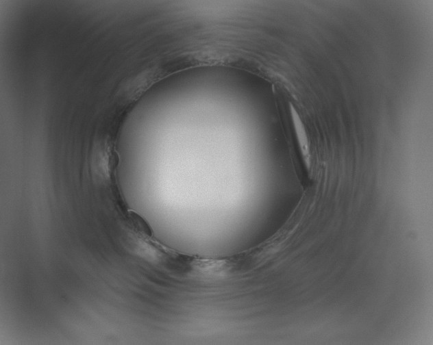 X0000074020334200609061122