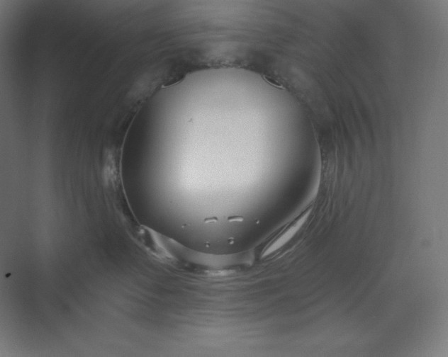 X0000074020335200609061122