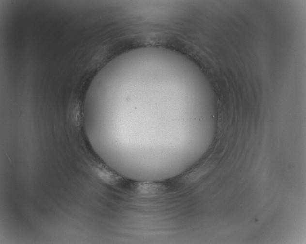 X0000074020336200609061122