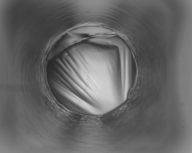 X0000074020337200609061121