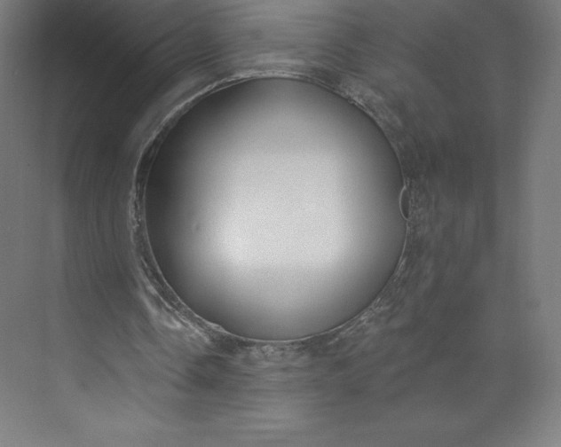 X0000074020338200609061121