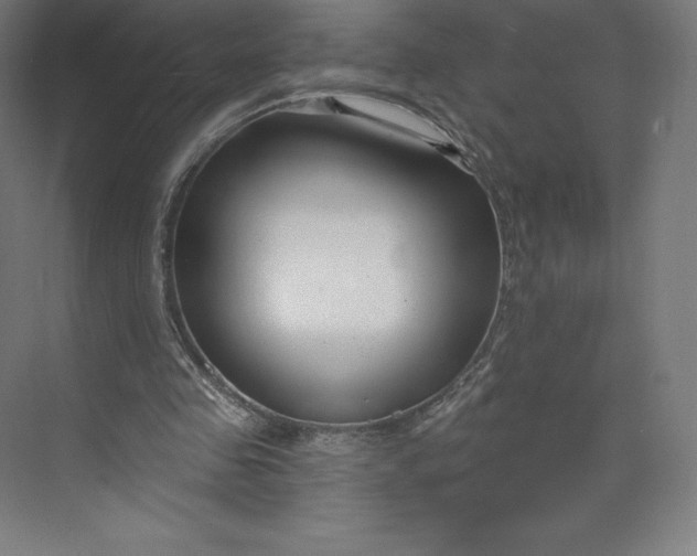X0000074020341200609061121