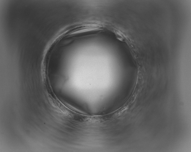 X0000074020343200609061121