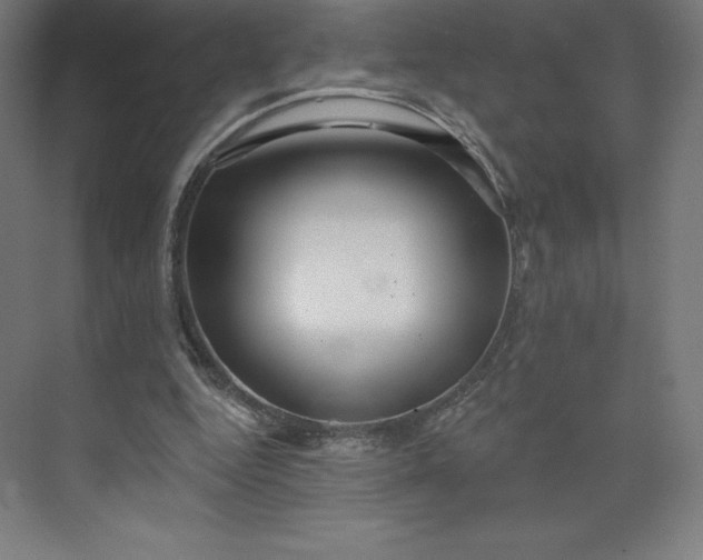 X0000074020344200609061121