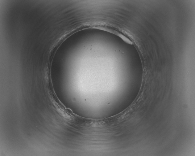 X0000074020345200609061121
