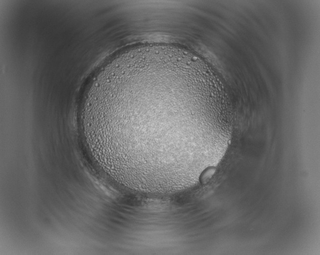 X0000074020347200609061121