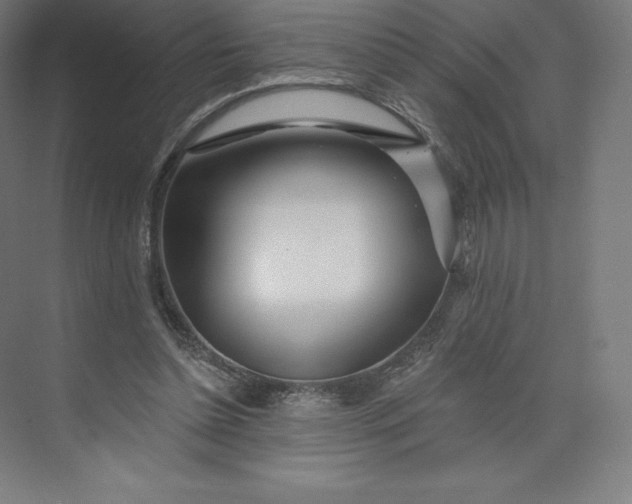 X0000074020348200609061121