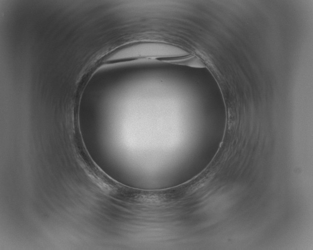X0000074020349200609061121