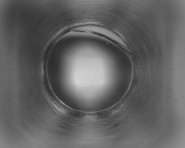 X0000074020350200609061121