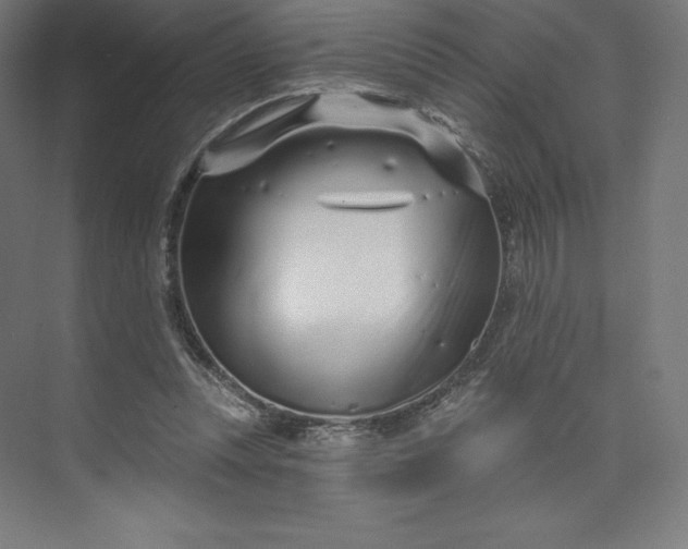 X0000074020351200609061121
