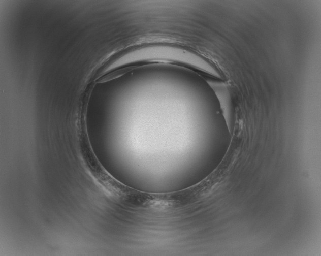 X0000074020352200609061121