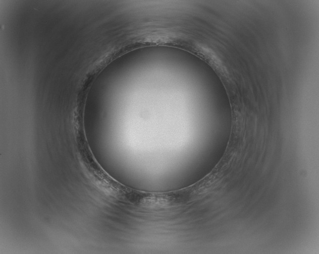 X0000074020354200609061121