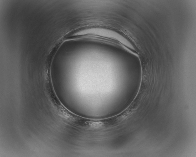 X0000074020355200609061121