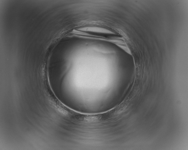X0000074020357200609061121