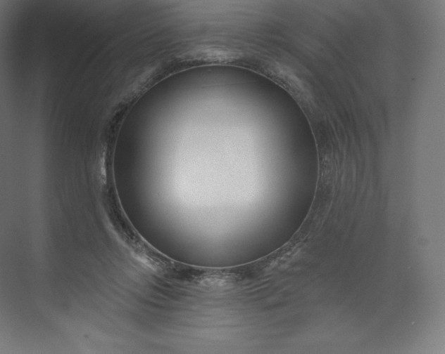 X0000074020358200609061121