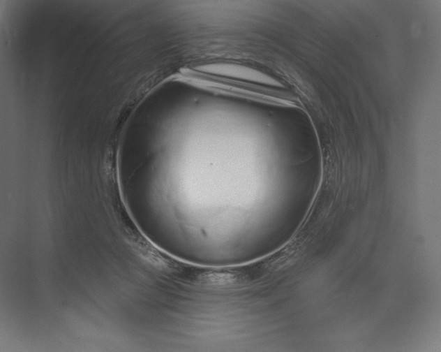 X0000074020361200609061121