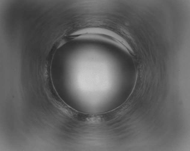 X0000074020362200609061121