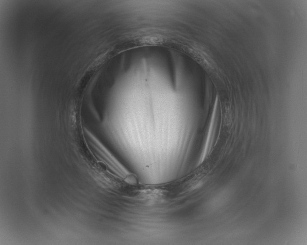 X0000074020363200609061121