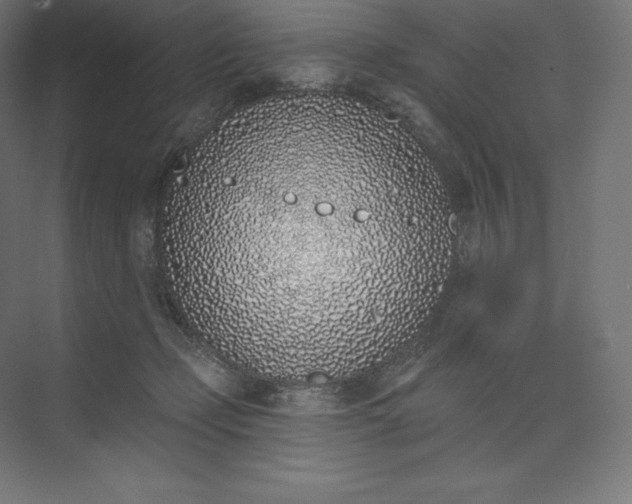 X0000074020365200609061122