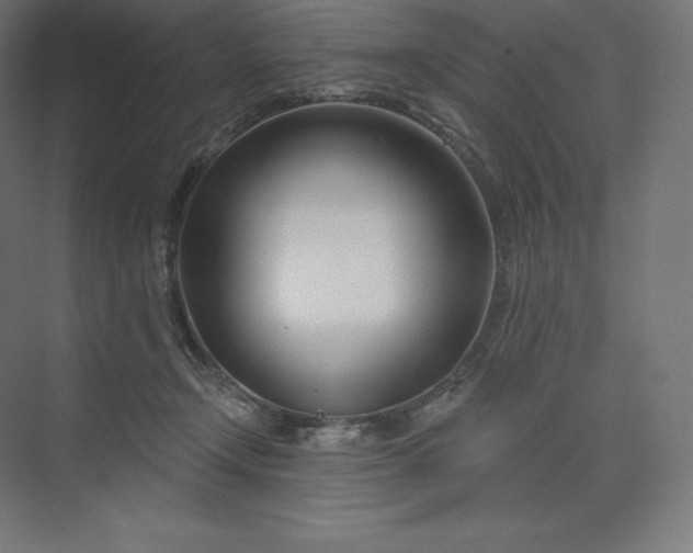 X0000074020366200609061122