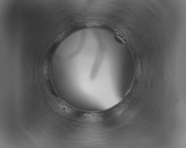 X0000074020367200609061122