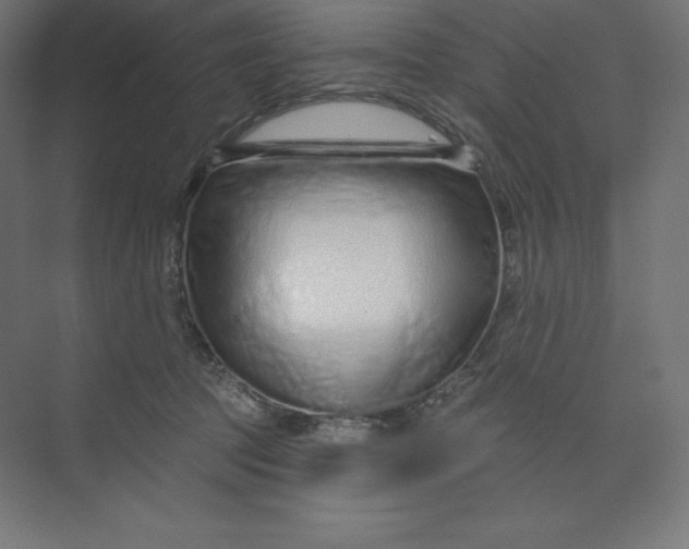 X0000074020369200609061122