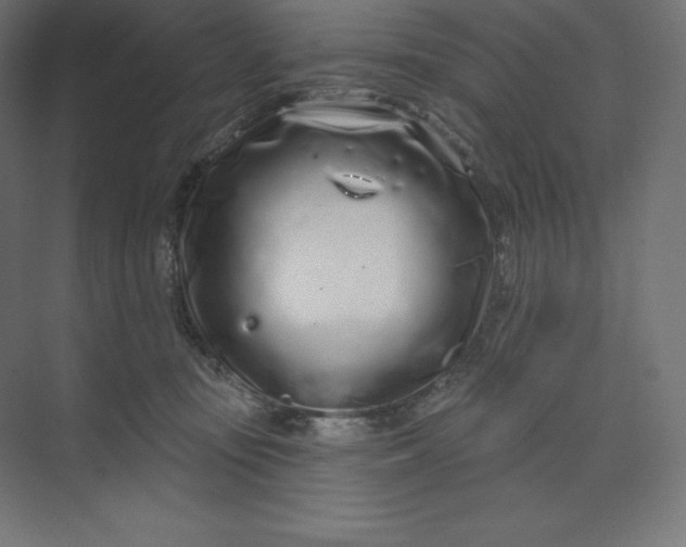 X0000074020371200609061122