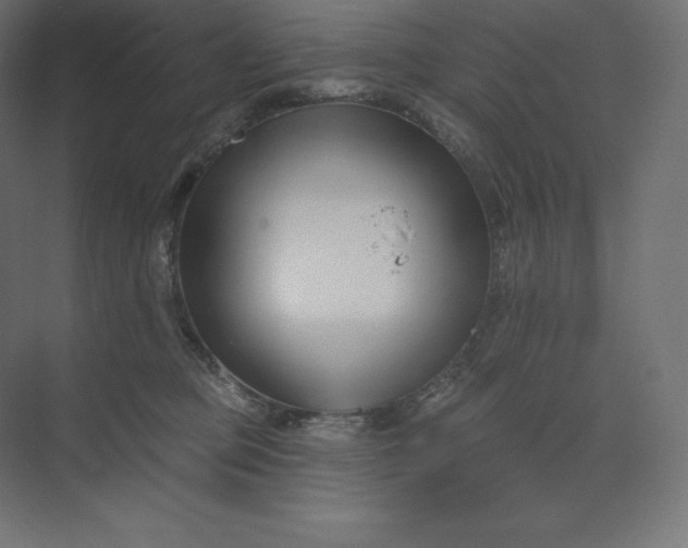 X0000074020373200609061122