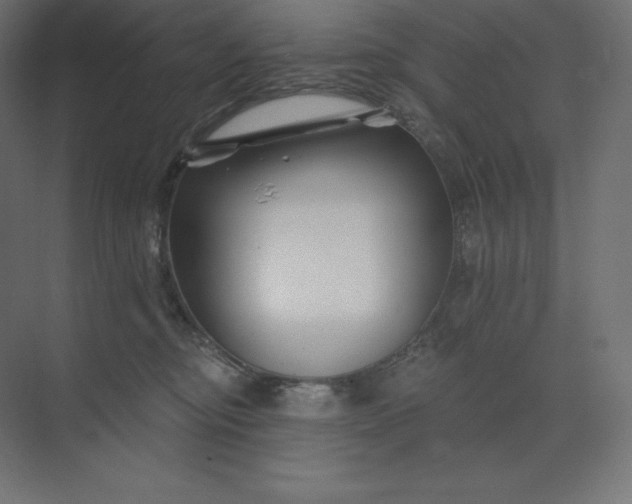 X0000074020374200609061122