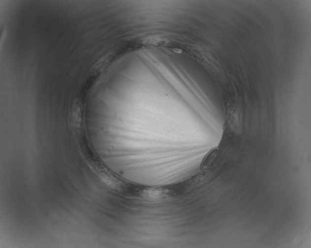 X0000074020375200609061122