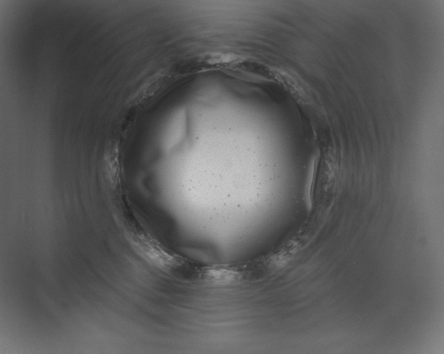 X0000074020376200609061122