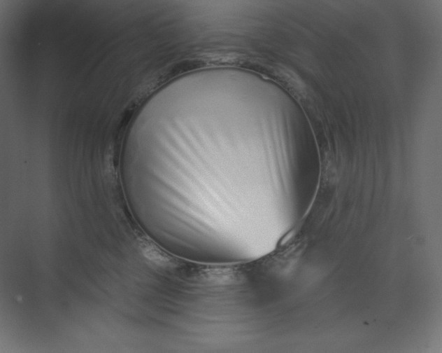 X0000074020377200609061122