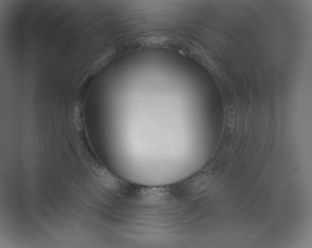 X0000074020378200609061122