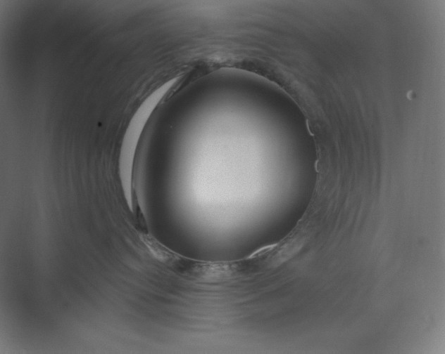 X0000074020384200609061122