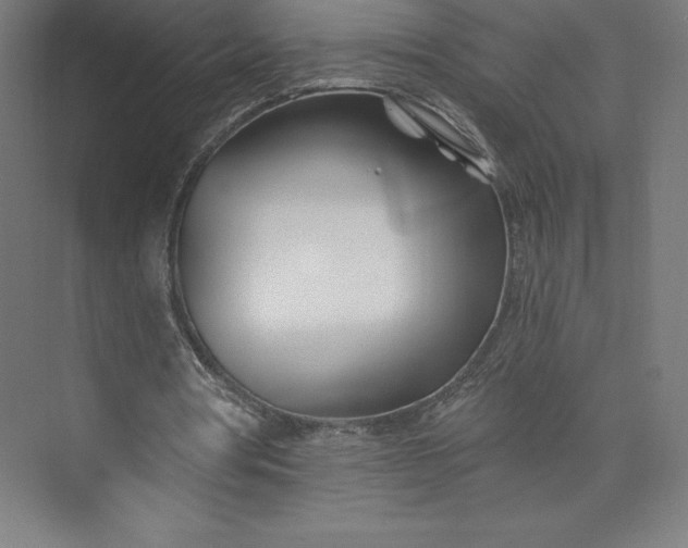 X0000074020386200609061121