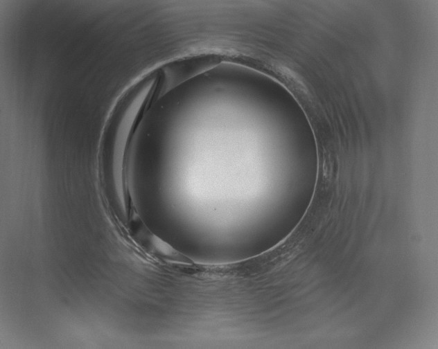 X0000074020388200609061121