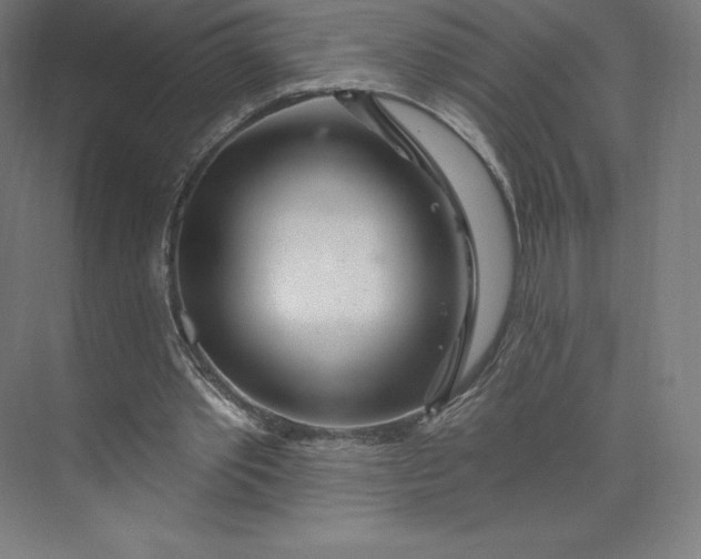 X0000074020389200609061121