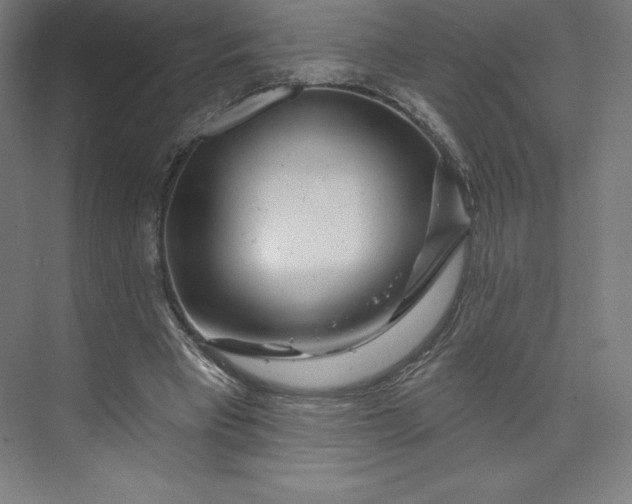 X0000074020393200609061121