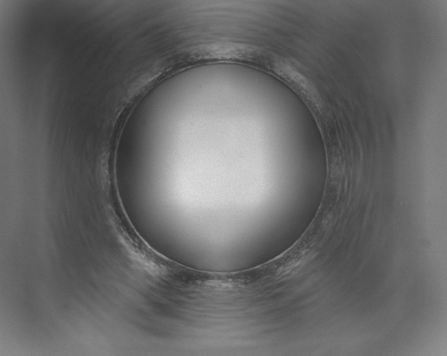 X0000074020394200609061121
