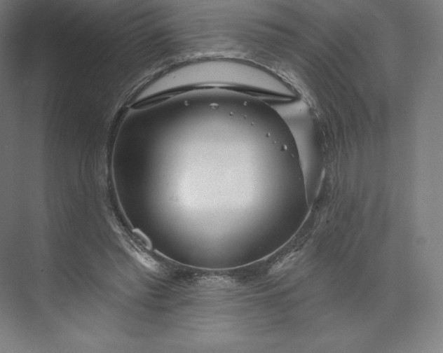 X0000074020397200609061121