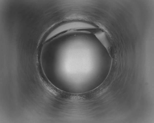 X0000074020399200609061121