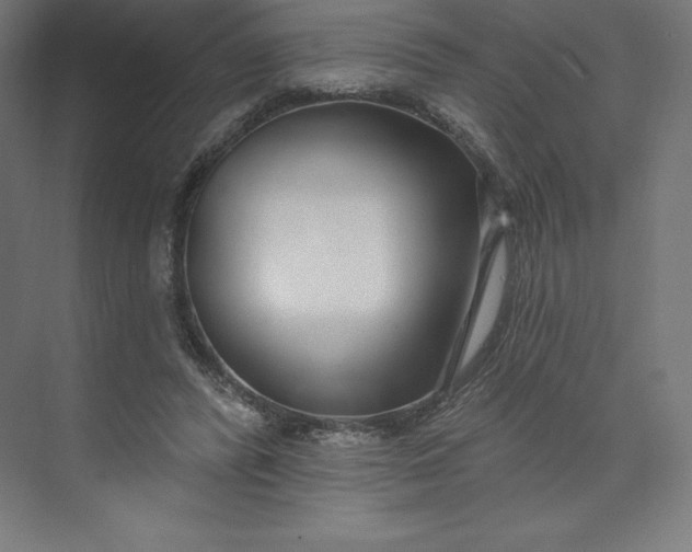 X0000074020400200609061121