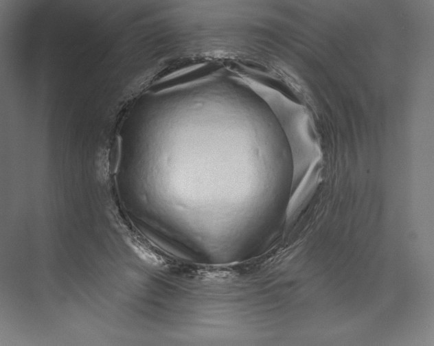 X0000074020401200609061121