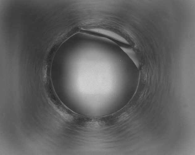 X0000074020404200609061121