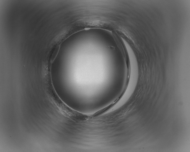 X0000074020407200609061121