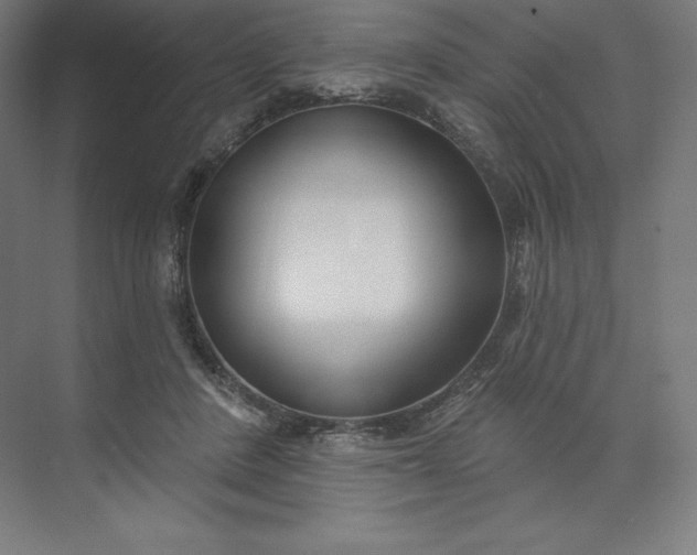X0000074020408200609061121