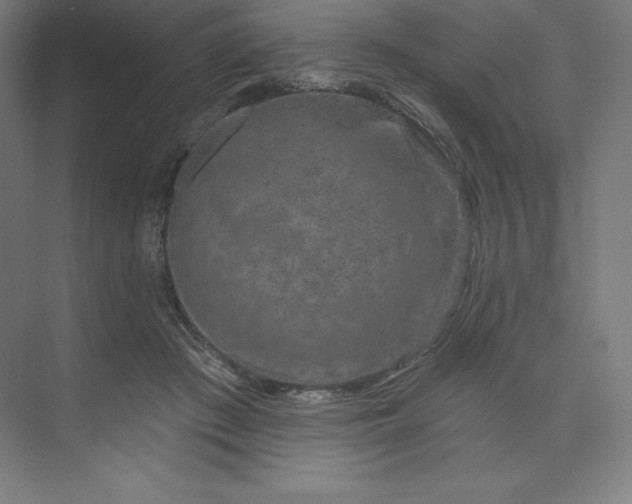 X0000074020409200609061121