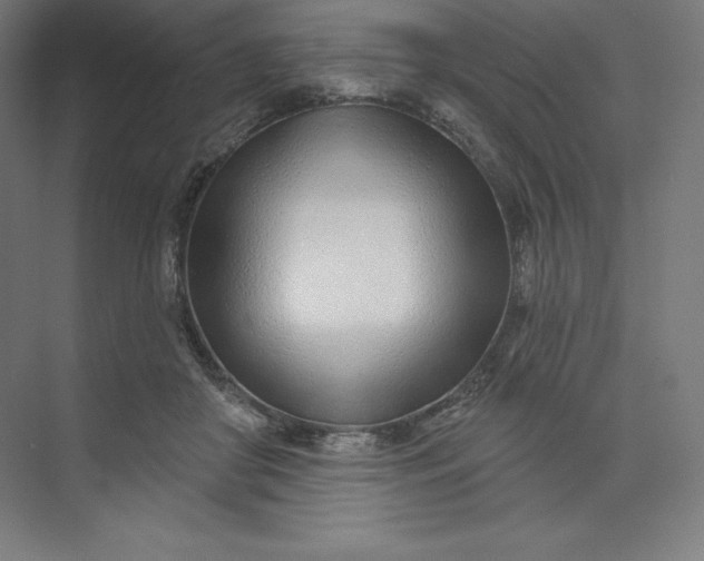 X0000074020410200609061121