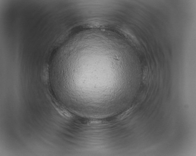 X0000074020413200609061121