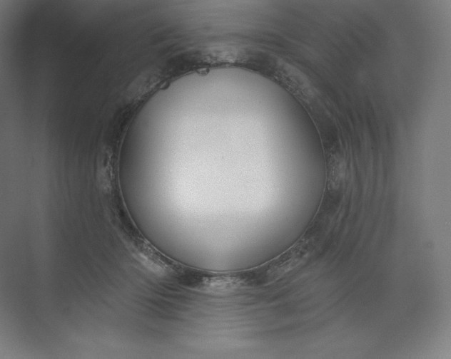 X0000074020414200609061121